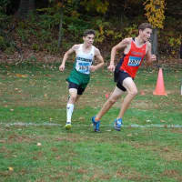 <p>Sophomore Luke Carmosino took third place overall in the Westchester County cross-country meet.</p>