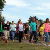 <p>Pooches are welcome to stroll for a good cause this October.</p>
