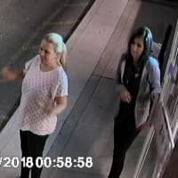 <p>Two women are wanted for questioning after allegedly taking an unattended purse at a LaGrange gas station.</p>