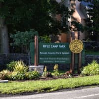 <p>A disc golf course is proposed for Rifle Camp Park.</p>