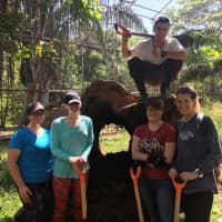 <p>Some Ramapo College of New Jersey students spent winter break volunteering at an animal sanctuary in Costa Rica.</p>