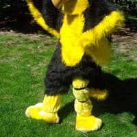 <p>The River Dell Hawk will also be on hand, on tee-ball&#x27;s opening day.</p>
