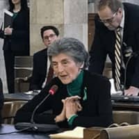 <p>Rosemarie D’Alessandro testified in support of amending “Joan’s Law” at the Senate Judiciary Committee on Monday.</p>