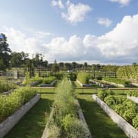<p>The Community Garden at Grace Farms grows produce used in lunch options at The Commons cafe at Grace Farms in New Canaan</p>
