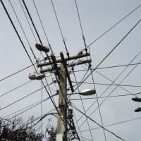 Storm: Strong Winds Knock Out Power In Westchester