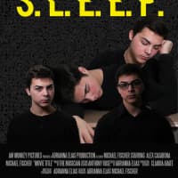<p>The promotional poster for S.L.E.E.P.</p>