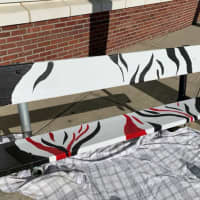 <p>Students painted this &quot;Spirit Bench&quot; at Saxe Middle School in New Canaan.</p>