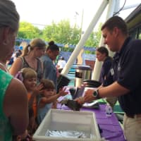 <p>A Maritime Aquarium shows off a critter to children at the Stepping Stones Museum for Children on Thursday.</p>