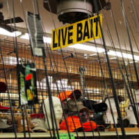 <p>Fishing gear and live bait have been a staple of the Outwater Lane sporting goods store for three generations. </p>