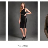 <p>A look at the new fall collection.</p>