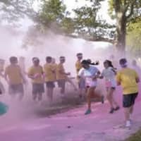 <p>Participants getting color flashed at Sherwood Island State Park in Westport. </p>
