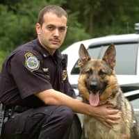 <p>Wilton Police K-9 Enzo with his handler, Officer Steven Rangel. Both took part in Friday&#x27;s search of Wilton High School. </p>