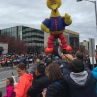 <p>Big Bird looms over the crowd at the UBS Parade Spectacular Sunday in Stamford.</p>