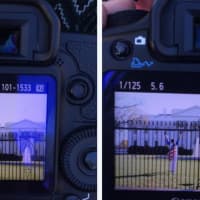 <p>The image of a Stamford man wearing a flag as he jumped the fence at the White House was captured by Vanessa Peña and posted on Twitter ‏@VanessaVans.</p>