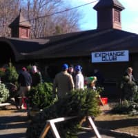 <p>Exchange Club is selling Christmas trees and wreaths in New Canaan</p>