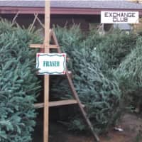 <p>Exchange Club Selling Christmas Tree and Wreaths In New Canaan</p>