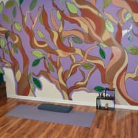 <p>Yoga Studio at Firefly Family Yoga studio in Ridgefield.</p>