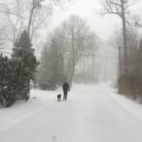 <p>The dog has to be walked no matter what the weather. Here a Darien resident is spotted early Saturday walking the dog.</p>
