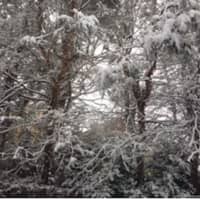 <p>Snow scene in Stamford</p>
