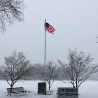 <p>The flag flies high in Scalzi Park.</p>
