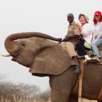 <p>&quot;Time to go on our elephant safari. My elephant was named Minos. I was so scared that I hung on to the poor guide’s waist until he couldn’t breathe.&quot;</p>