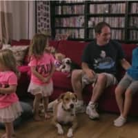 <p>Jamie Sclafane and her family in the Hulu documentary &quot;They’re Real &amp; They’re Spectacular: Seinfeld Super Fans &amp; the Summer of George.&quot;</p>
