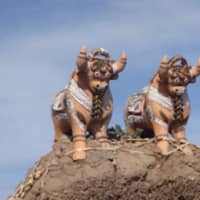 <p>&quot;This pair of bulls is on the roofs of every house to protect the house. I bought a pair of blue ones, don’t know why, and if they will protect my mailbox.&quot;</p>