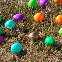 Children Invited To Find The Golden Egg in Oakland's Annual Easter Egg Hunt