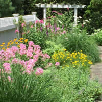 Prepare Your Perennial Garden With Simple Spring Tips