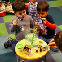 <p>Registration is open for full and half-day summer camps at Stepping Stones Museum for Children.</p>