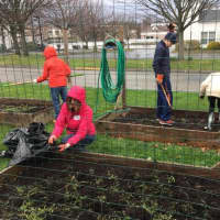 <p>Fairfield Country Day School volunteers work in flower beds.</p>