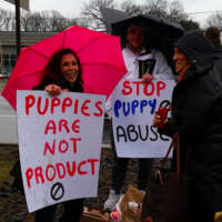 <p>&quot;Puppies are not product.&quot;</p>