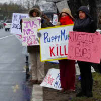 <p>Rain didn&#x27;t stop a group of protestors seeking to spread awareness about the &quot;horrific practices&quot; at Just Pups in Paramus, they said in a Facebook post.</p>