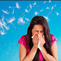 3 Simple Tips To Reduce Your Seasonal Allergy Symptoms, Norwalk