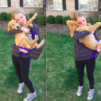 <p>Haley Andresen, 15, and her new golden retriever puppy from Robyn Urman of Tenafly&#x27;s Pet ResQ.</p>