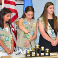 <p>The Gold Award is the highest achievement in the Girl Scouts organization. Rebecca Bazela, Maya Pontone, Gabrielle Visconi and Kaci Kopec recently received this award.</p>