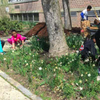 <p>Springdale fourth-graders, from left, Riley Sullivan, Yasmin Khammouch and Jordan Ng (with shovel) with Jordan&#x27;s sister Kayla kneeling behind her. They help to beautify the school Wednesday.</p>