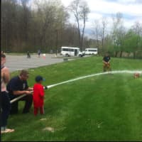 <p>On Healthy Kids Day, the Brookfield Volunteer Fire Department and Candlewood Company Inc. were on the scene, training junior firefighters.</p>