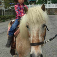 <p>Everett Holligan, 4, rides Hunny, a 16-year-old Shetland Pony mix, during Round Hill Nursery School&#x27;s annual Western Day Friday.</p>