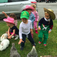 <p>Children from the Round Hill Nursery School play with animals in the petting zoo during the annual Western Day at the school Friday.</p>