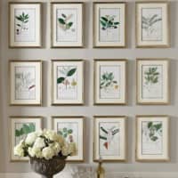 <p>Arranged in a gallery-wall grouping, the natural green tones of the Botanical artwork series make it a light, charming counterpoint to the exquisitely detailed console table.</p>