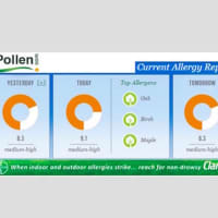 Allergic To Tree Pollen in Norwalk? This Week Could Make You Sneeze!