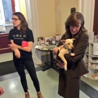 <p>Hoboken Mayor Mayor Dawn Zimmer has cuddle time with a Southern Paws pup.</p>