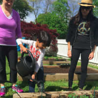 <p>Sarah Lusman and Suzanne Zakka watch as a Putnam Indian Field student waters a garden.</p>