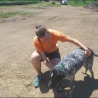 <p>Amanda Garrison of New Milford and a 4-year-old Labrador Heeler mix, &quot;Penny,&quot; who is available for adoption at the Danbury Animal Welfare Society (DAWS).</p>