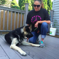 <p>Lyndhurst&#x27;s Lisa Lombardo and Hodor practice tricks for obedience training.</p>