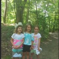<p>Girl Scouts at Camp Aspetuck in Weston.</p>