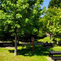 <p>VE Macy Park is where the man was assisted by doctors on bikes.</p>