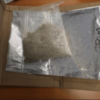 <p>Norwalk police found more than 750 grams of ecstasy in three packages addressed to a Norwalk resident.</p>