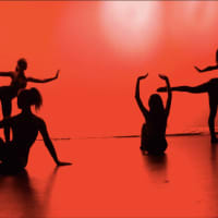 <p>DAC dance students performing in the annual ‘So We Think We Can Dance’ performance.</p>